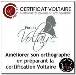 Centre langue francaise prepa certificat voltaire 1