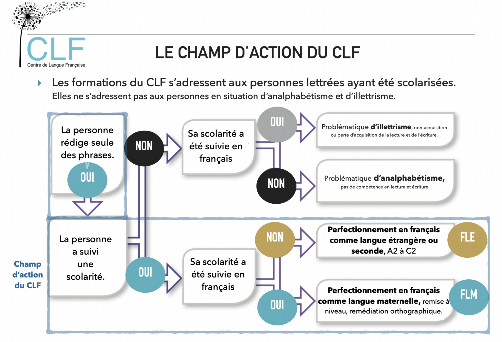 Champ action clf 1