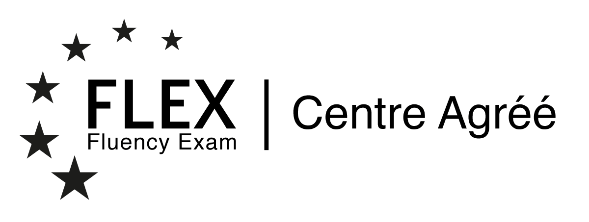 Flex partner logo black