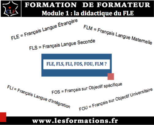 Formateur fle module 1 didactique fle
