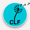 Logo clf www lesformations fr