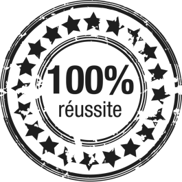 Bravo!!!! dans Le Salon logo-reussite-prepa-delf-dalf-flex-dcl-tcf